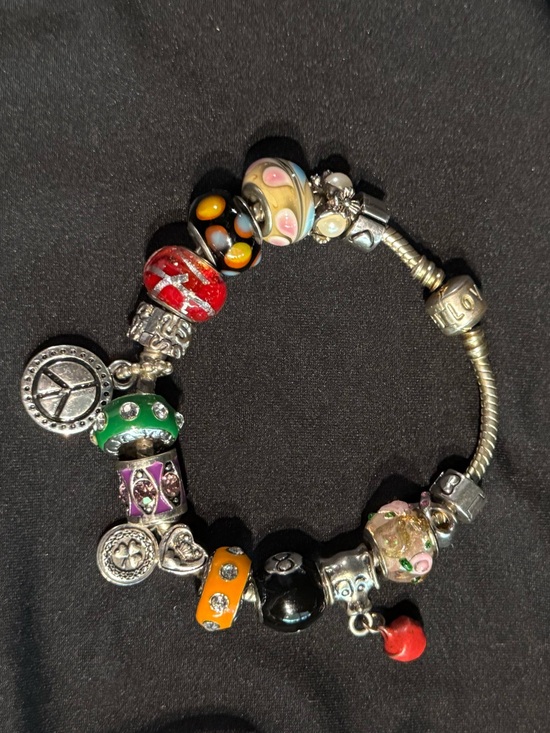 Chamilla Jewelry - Chamilla .925 Sterling Silver Charm Bracelet FULL!